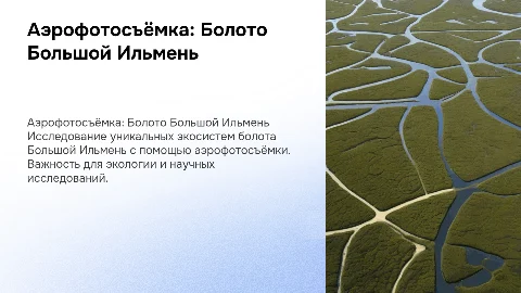 аэрофотосъёмка болота Большой Ильмень
