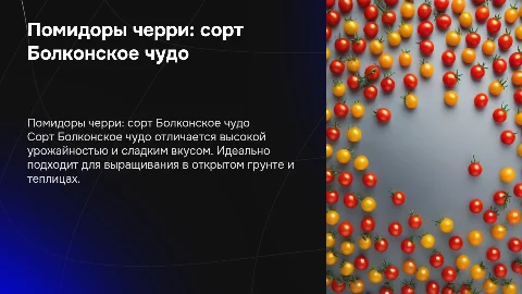 помидоры чери-сорт болконое чудо