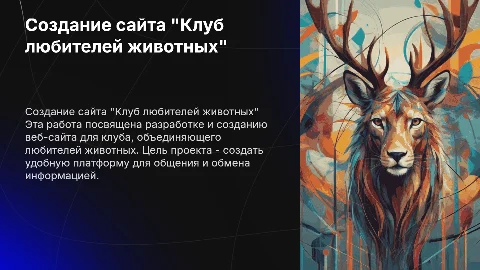 Презентация к дипломной работе по разработке сайта клуба