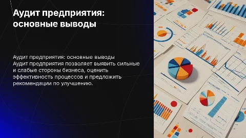 Аудит предприятия, выводы