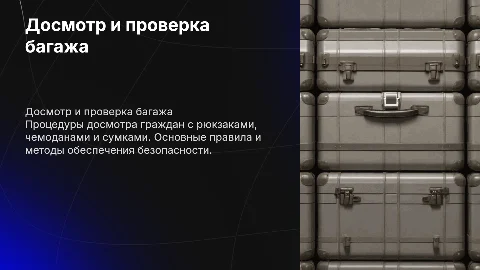 досмотр гражданина с рюкзаком чемоданом и сумкой