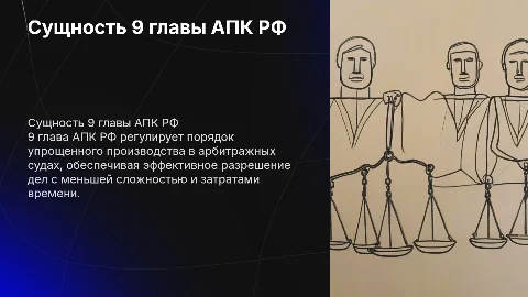 Сущность 9 главы АПК РФ: упрощенное производство в судах