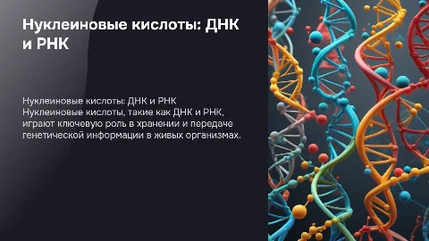 нуклеиновые кислоты(днк,рнк)