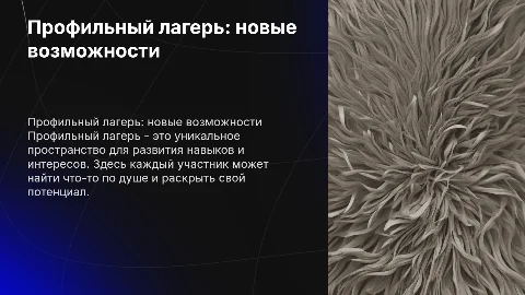 ПРОФИЛЬНЫЙ ЛАГЕРЬ