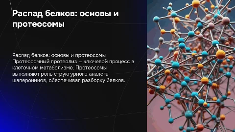 Распад белков и протеосомы: ключевые аспекты и механизмы