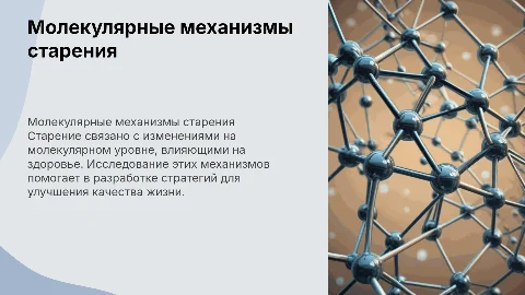 Химия старения: молекулярные механизмы и здоровье