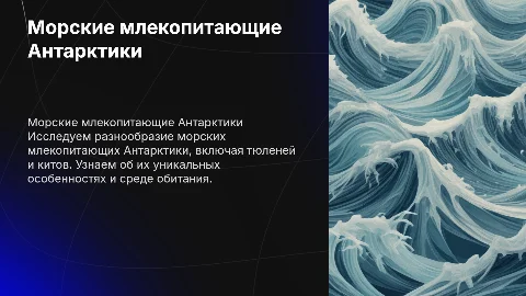 Тюлень-крабоед, Тюлень Уэнделла, Тюлень Росса, Морской леопард, Морской котик, Синий кит, Финвал, Сейвал, Горбач, Малый полосатик