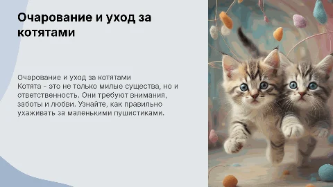 котята