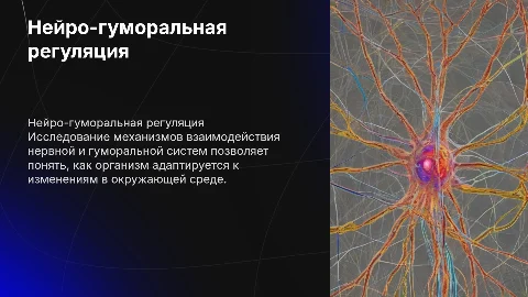 Нейро-гуморальная регуляция процессов жизнедеятельности