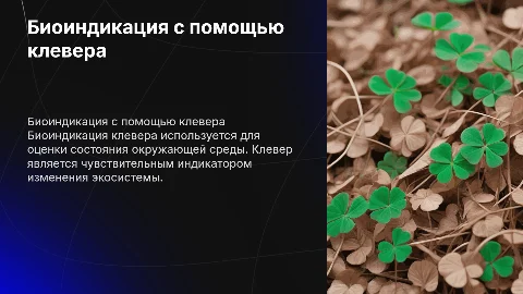 биоиндикация клевера