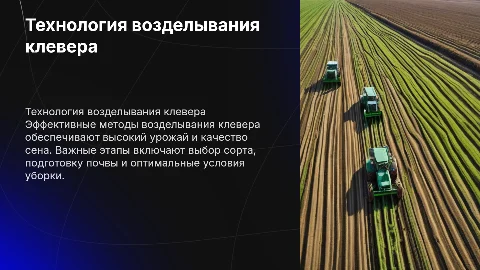 Технология возделывания клевера и уборка его на сено