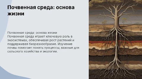 Почвенная среда