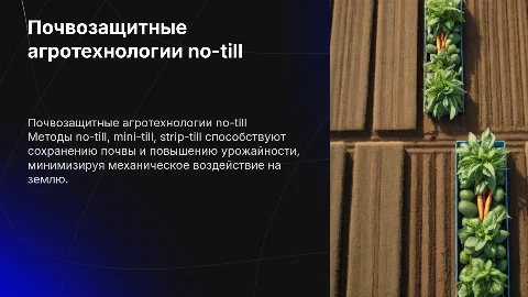 Почвозащитные агротехнологии: no-till, mini-till, strip-till