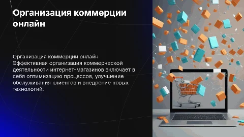 Организация коммерческой деятельности интернет магазинов