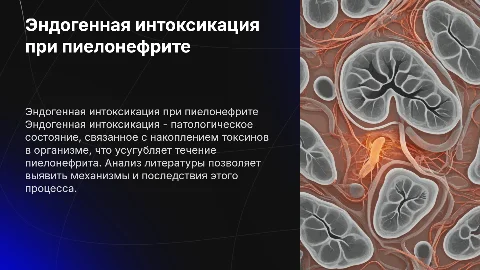 Эндогенная интоксикация при пиелонефрите: анализ и лечение