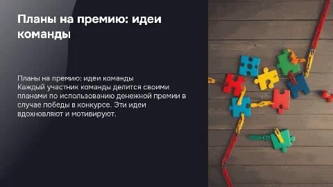 Планы участников команды по реализации денежной премии