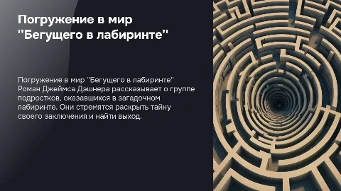 книга Бегущий в лабиринте