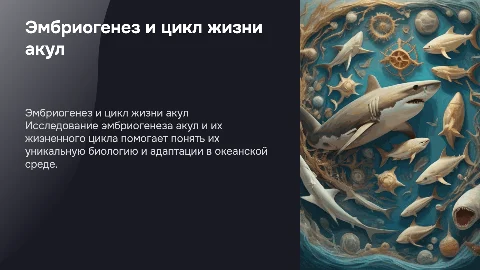 акулы эмбриогенез и жизненный цикл