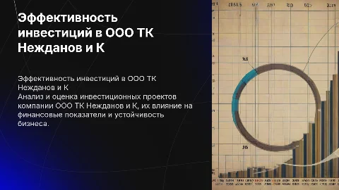 Оценка эффективности инвестиционных проектов в ООО ТК Нежданов