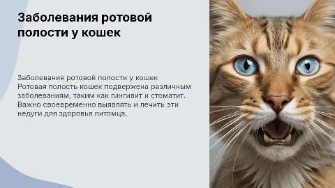 заболевание ротовой полости у кошек