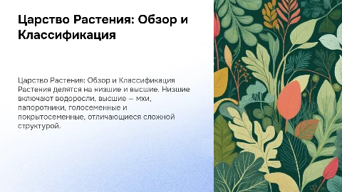 Общая характеристика царства Растения: Низшие и высшие