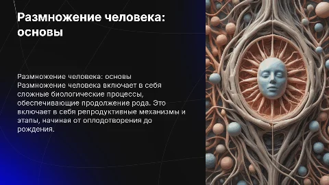 Размножение человека