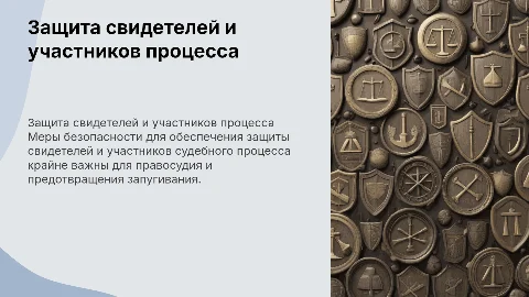 Меры по защите свидетелей и других участников процесса