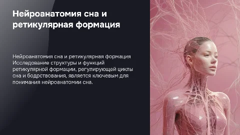 Нейроанатомия сна: ретикулярная формация и её функции