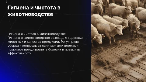 Гигиена и чистота в животноводстве