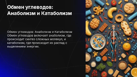 Обмен углеводов (Анаболизм , Катаболизм)