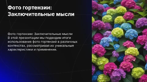 фото гортензии для заключения