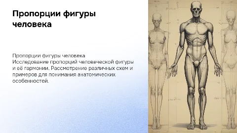 Пропорции фигуры человека. Примеры схем. презентация