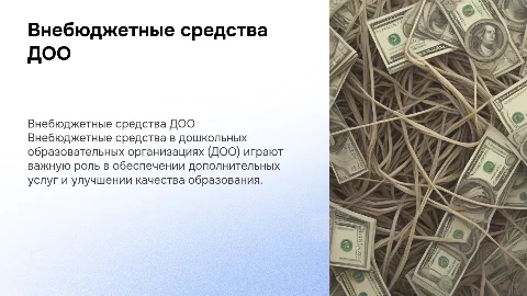Внебюджетные средства ДОО