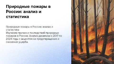 Природные пожары в России: причины, статистика и динамика