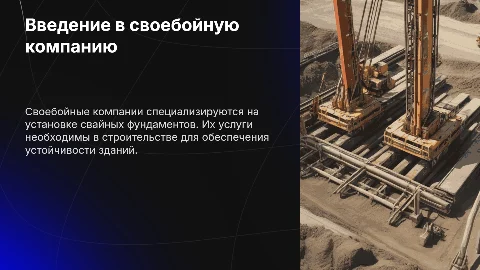 Своебойная компания: информация и цели
