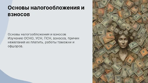 Налогообложение: ОСНО, УСН, ПСН и взносы