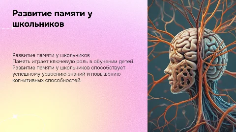 Развитие памяти у детей школьного возраста
