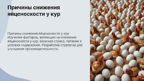 снижение яйценоскости у кур