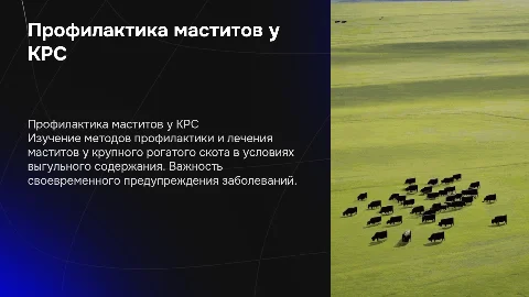 Профилактика и терапия маститов у крупного рогатого скота