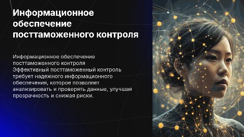 Информационное обеспечение посттаможенного контроля