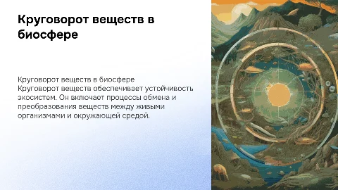 круговорот веществ в биосфере