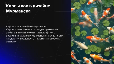 карпы кои в ландшафтном дизайне Мурманской области