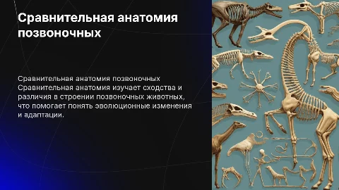 Сравнительная анатомия позвоночных