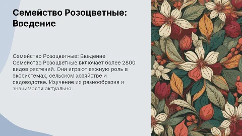 Семейство Розоцветных