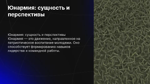 Юнармия: сущность и перспективы создания движения