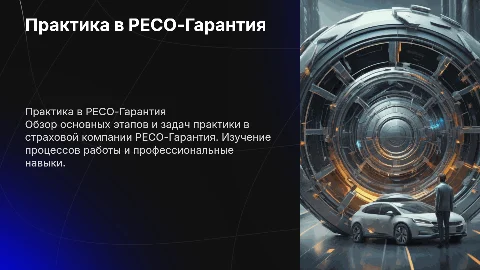 Практика РЕСО-Гарантия