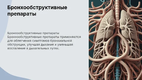 Бронхообструктивные препараты