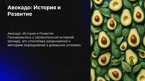 Авокадо: История, Размножение и Выращивание в Домашних Условиях