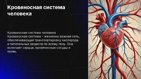 Презентация по теме кровеносной системы