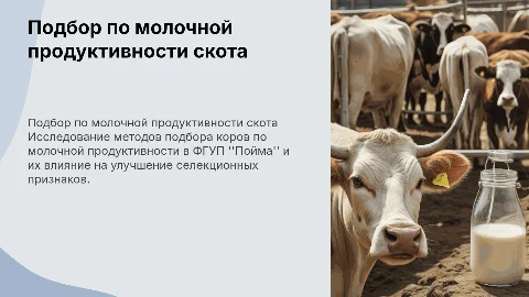Презентация по подбору коров по молочной продуктивности